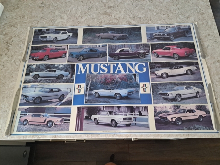 Mustang 1964--1984 Posters